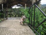IMG_6726