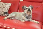 DSC_0092