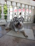 IMG_0272