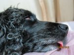 IMG_1281