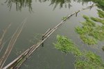 IMG_9304