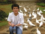 Matthew & Doves