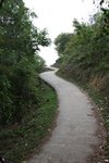 IMG_5207