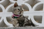 IMG_5364
