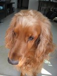 04102408