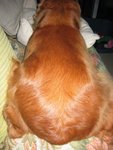 05091204
