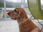 08080604