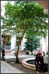 _MG_21063_2