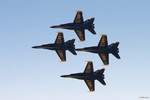 Delta Formation