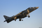 AV-8V Harrier-v liftoff
