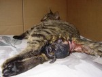 pic04