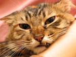 cIMG_4375