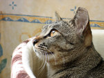 aIMG_2601