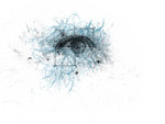eye