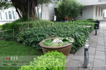 DSCF4384
