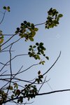 IMG_6736