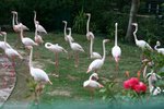 IMG_0037