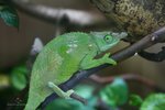 IMG_0082