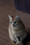 IMG_6677