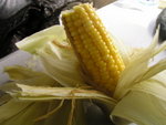 P1010009