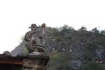 IMG_6953