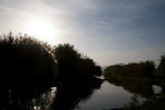 IMG_6954
