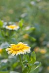 IMG_6983
