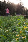 IMG_6992