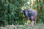 IMG_7016