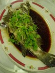 DSC05404