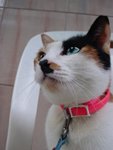 DSC03079