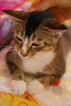 IMG_1829