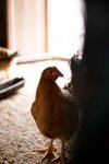 IMG_8904