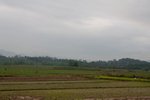 IMG_8736