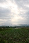 IMG_8739