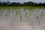 IMG_8753