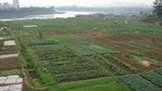DSC02670