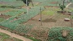 DSC02693