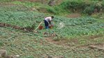 DSC02694