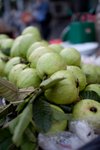IMG_9161