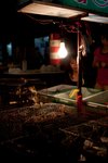 IMG_9253