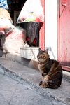 IMG_5927