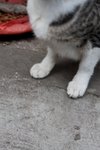 IMG_6883
