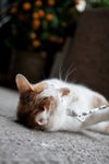 IMG_8630