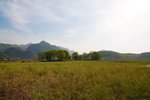 IMG_6707