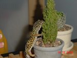 Grabbing on plant