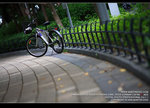 IMG_4608_small_800