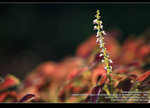 IMG_6127_800