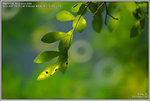DSC_5015_640