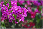 DSC_5039_640
